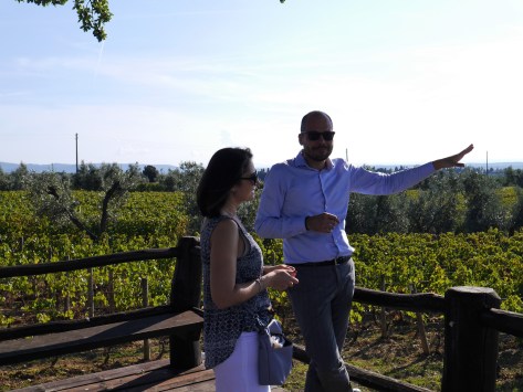 Bellaria vineyard