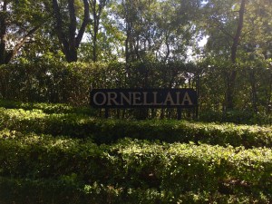 Ornellaia sign at entrance