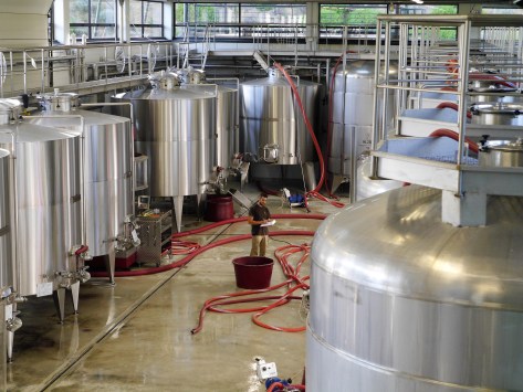 Steel tanks at Ornellaia winery