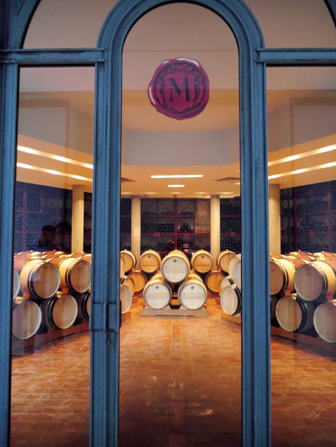 Masseto cellar