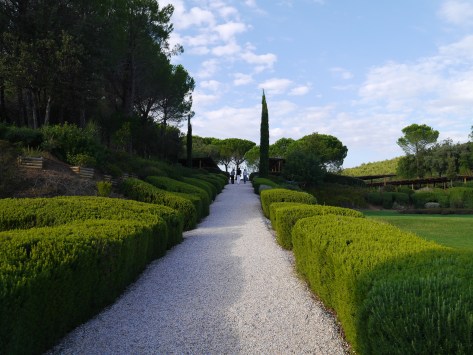 Ornellaia gardens