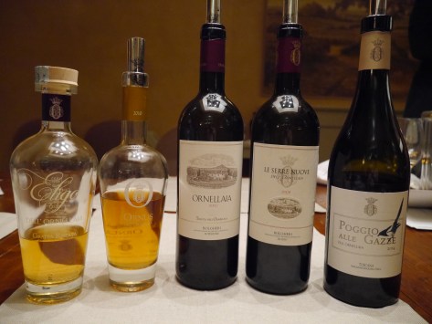 Wines and grappa of Ornellaia