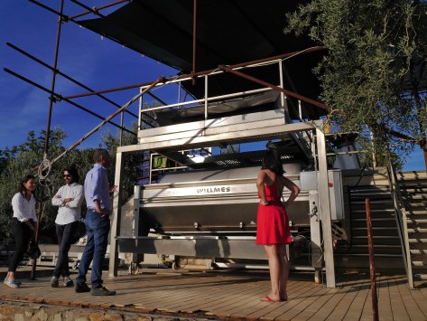 Outdoor wine press at Michele Satta