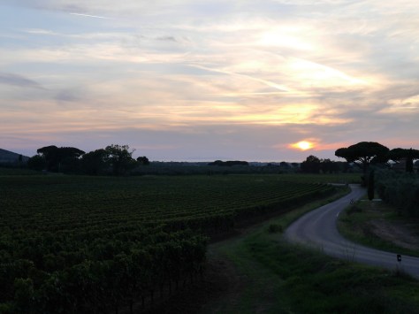 sunset michele satta